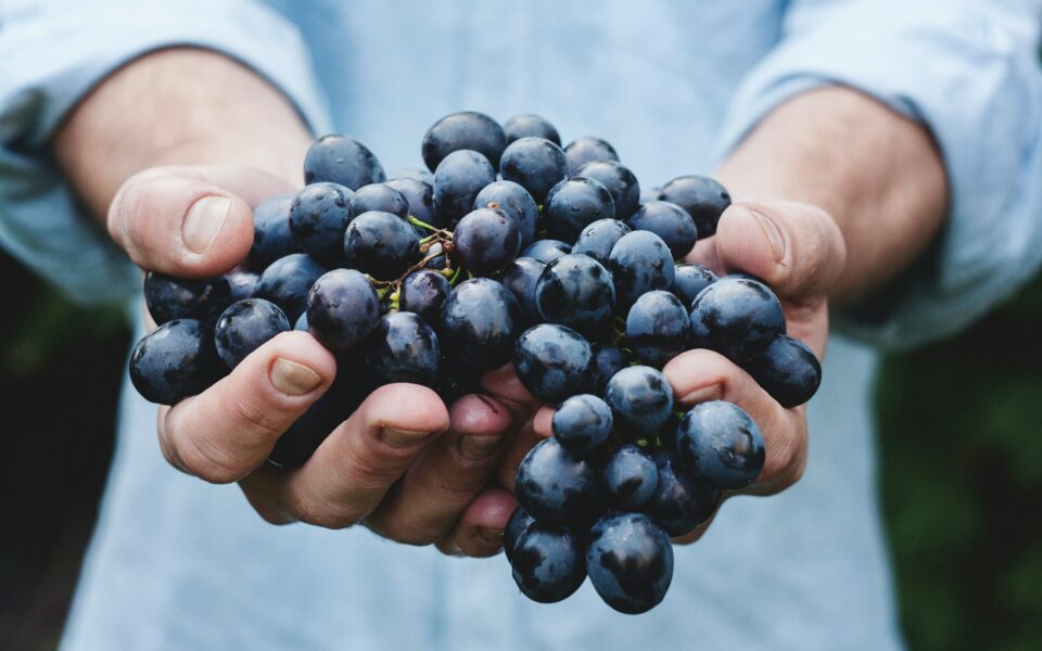 Cerveteri e le novità della 61esima “Sagra dell’Uva e del Vino dei Colli Ceriti”